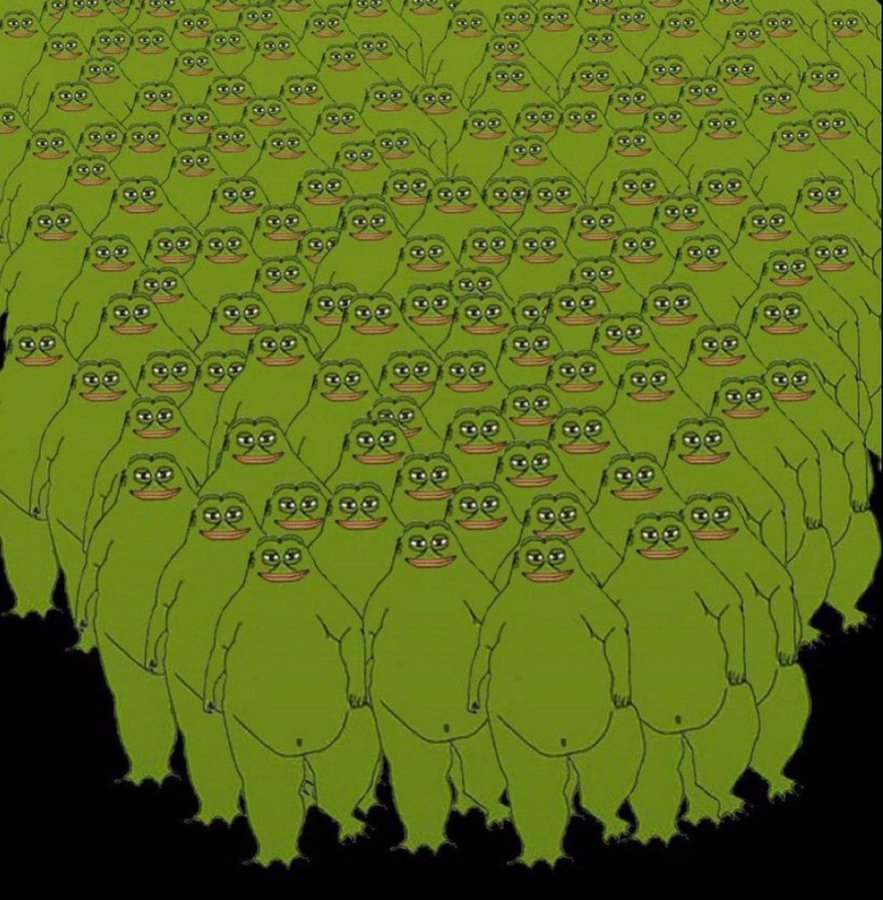 Groyper